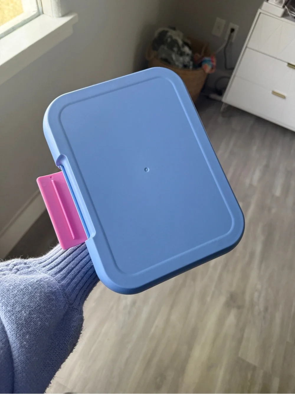 Bentgo cute bento